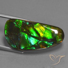 Ammolite Multicolore naturale da 23.45 ct, Taglio a fantasia, Opaco
