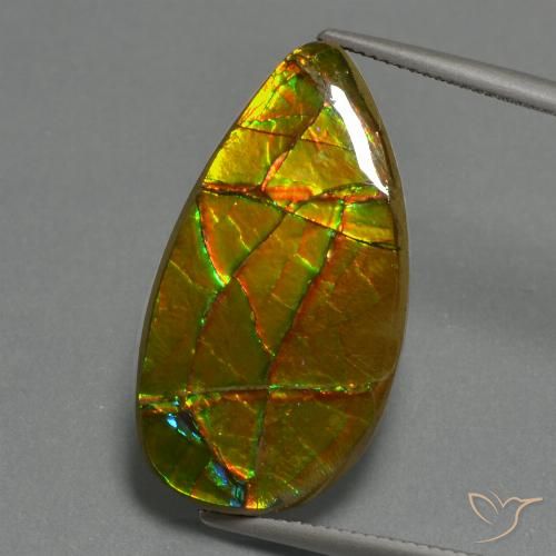 Ammolite multicolore naturale da 19,40 ct, forma fantasia, opaco
