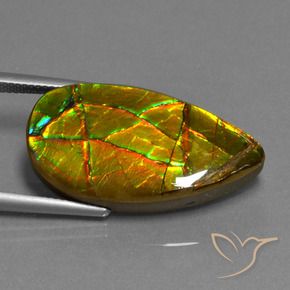 Ammolite multicolore naturale da 19,40 ct, forma fantasia, opaco