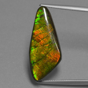Ammolite naturale multicolore da 15,14 ct, forma fantasia, opaco
