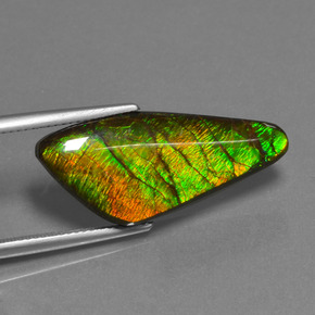 Ammolite naturale multicolore da 15,14 ct, forma fantasia, opaco