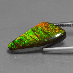 Ammolite naturale multicolore da 15,14 ct, forma fantasia, opaco