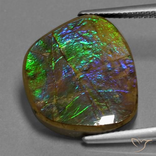 14.96ct Naturale Multicolore Ammolite, Taglio a fantasia, Opaco