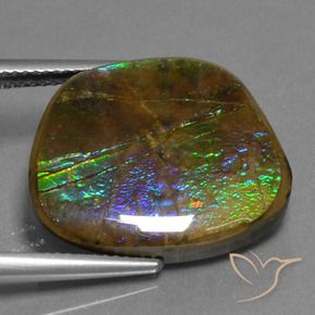 Ammolite Multicolore naturale da 14.96 ct, Taglio a fantasia, Opaco