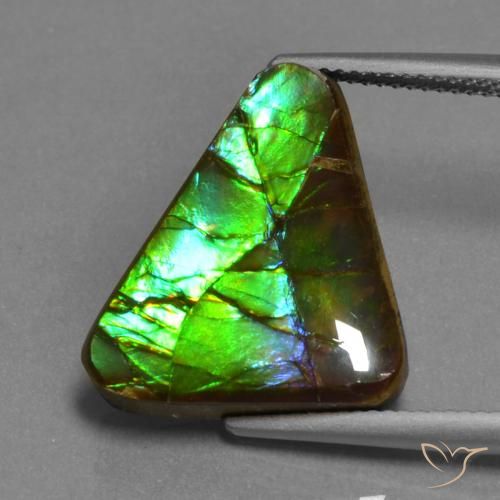 11.30ct Naturale Multicolore Ammolite, Taglio trillion, Opaco