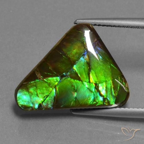 Ammolite Multicolore naturale da 11.30 ct, Taglio trillion, Opaco