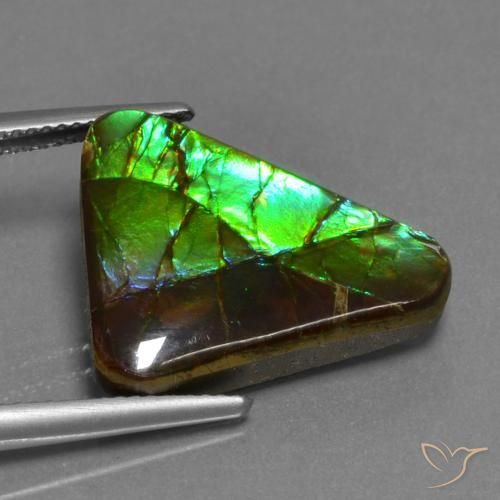 Ammolite Multicolore naturale da 11.30 ct, Taglio trillion, Opaco