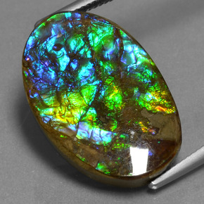 Ammolite Multicolore naturale da 15.25 ct, Taglio ovale, Opaco