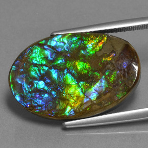 Ammolite Multicolore naturale da 15.25 ct, Taglio ovale, Opaco
