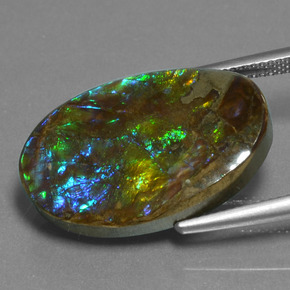 Ammolite Multicolore naturale da 15.25 ct, Taglio ovale, Opaco