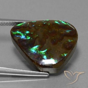Ammolite Multicolore naturale da 16.77 ct, Forma a pera, Opaco