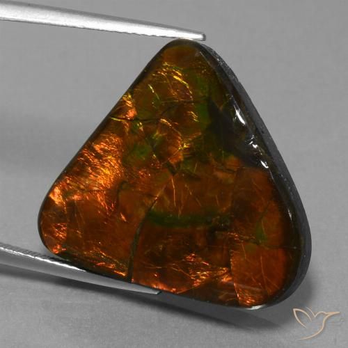 22.44ct Naturale Multicolore Ammolite, Taglio trillion, Opaco