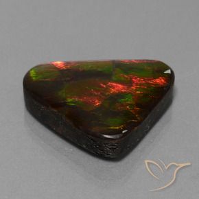 Ammolite Multicolore naturale da 22.44 ct, Taglio trillion, Opaco