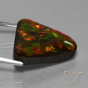 Ammolite Multicolore naturale da 22.44 ct, Taglio trillion, Opaco