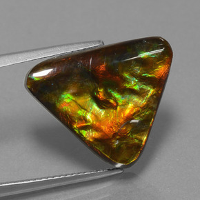 Ammolite naturale multicolore da 11,38 ct, trillion, opaco