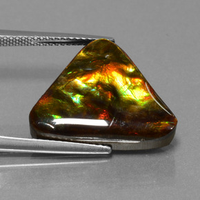 Ammolite naturale multicolore da 11,38 ct, trillion, opaco