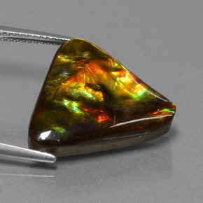 Ammolite naturale multicolore da 11,38 ct, trillion, opaco