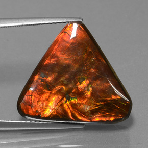 Ammolite naturale multicolore da 14,28 ct, trillion, opaco