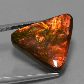 Ammolite naturale multicolore da 14,28 ct, trillion, opaco