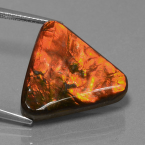 Ammolite naturale multicolore da 14,28 ct, trillion, opaco