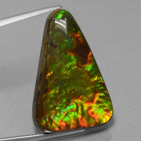 Ammolite naturale multicolore da 20,75 ct, trillion, opaco