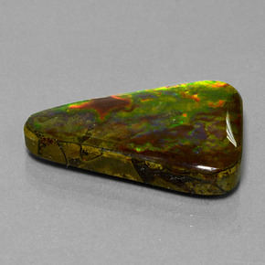 Ammolite naturale multicolore da 20,75 ct, trillion, opaco