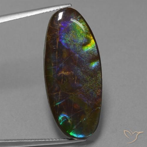 22.01ct Naturale Multicolore Ammolite, Ovale, Opaco