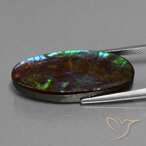 Ammolite Multicolore naturale da 22.01 ct, Ovale, Opaco