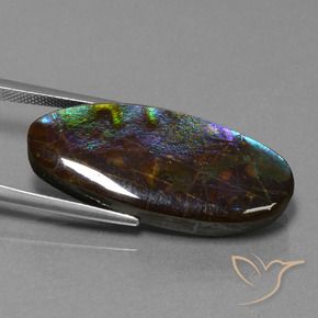 Ammolite Multicolore naturale da 22.01 ct, Ovale, Opaco