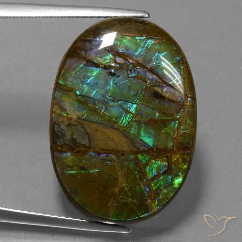 18.60ct Naturale Multicolore Ammolite, Ovale, Opaco