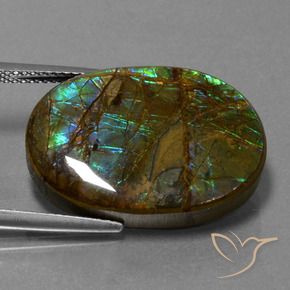 Ammolite Multicolore naturale da 18.60 ct, Ovale, Opaco