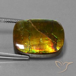 Ammolite Multicolore naturale da 14.83 ct, Cuscino, Opaco