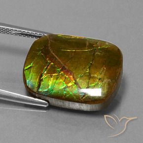 Ammolite Multicolore naturale da 14.83 ct, Cuscino, Opaco