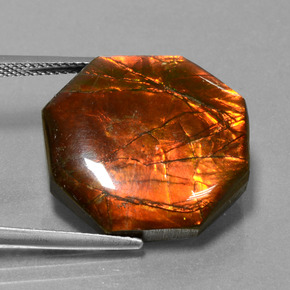 Ammolite multicolore naturale da 19,17 ct, taglio smeraldo, opaco