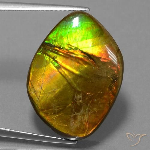 16.27ct Naturale Multicolore Ammolite, Taglio a fantasia, Opaco, Photo A