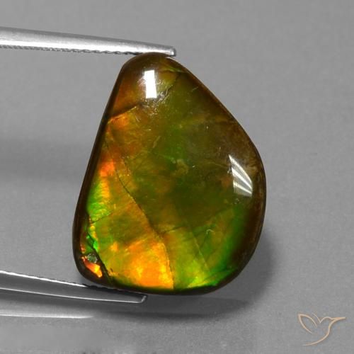 13.25ct Naturale Multicolore Ammolite, Taglio a fantasia, Opaco