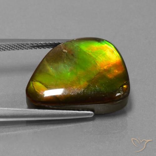 Ammolite Multicolore naturale da 13.25 ct, Taglio a fantasia, Opaco