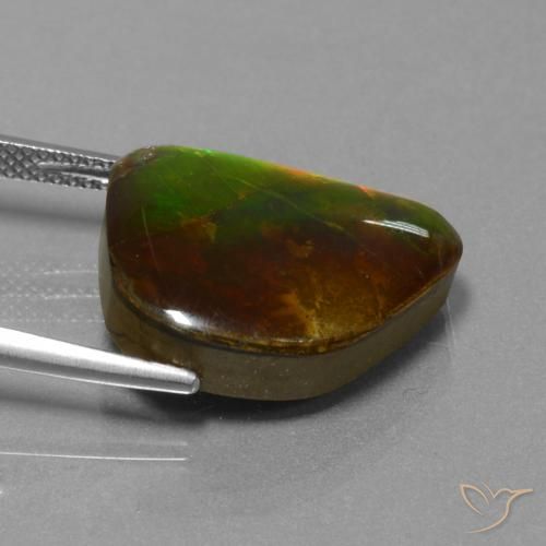 Ammolite Multicolore naturale da 13.25 ct, Taglio a fantasia, Opaco