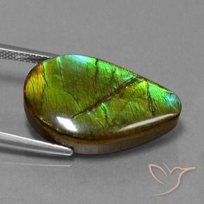 Ammolite Multicolore naturale da 13.12 ct, Taglio a fantasia, Opaco