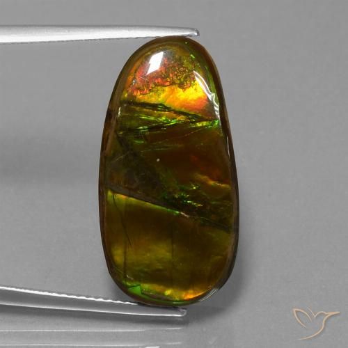 15.26ct Naturale Multicolore Ammolite, Taglio a fantasia, Opaco