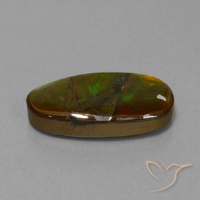 Ammolite Multicolore naturale da 15.26 ct, Taglio a fantasia, Opaco
