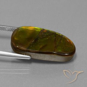 Ammolite Multicolore naturale da 15.26 ct, Taglio a fantasia, Opaco