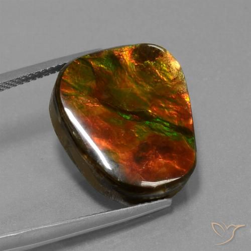14.52ct Naturale Multicolore Ammolite, Taglio a fantasia, Opaco