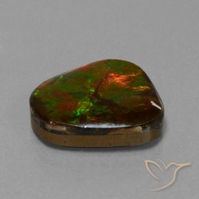 Ammolite Multicolore naturale da 14.52 ct, Taglio a fantasia, Opaco