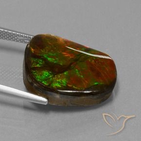 Ammolite Multicolore naturale da 14.52 ct, Taglio a fantasia, Opaco