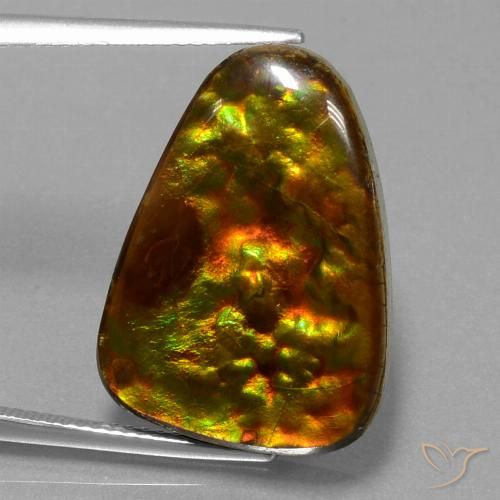 15.67ct Naturale Multicolore Ammolite, Taglio trillion, Opaco