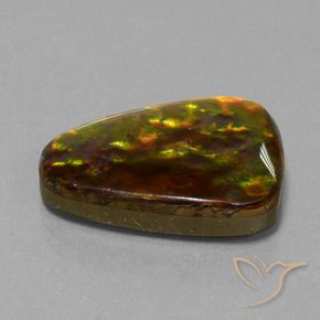 Ammolite Multicolore naturale da 15.67 ct, Taglio trillion, Opaco