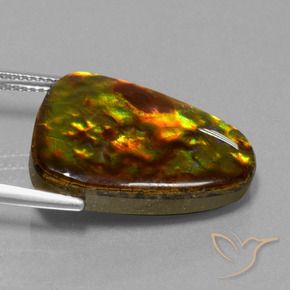 Ammolite Multicolore naturale da 15.67 ct, Taglio trillion, Opaco
