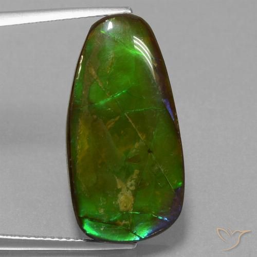13.82ct Naturale Multicolore Ammolite, Taglio a fantasia, Opaco
