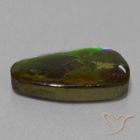 Ammolite Multicolore naturale da 13.82 ct, Taglio a fantasia, Opaco